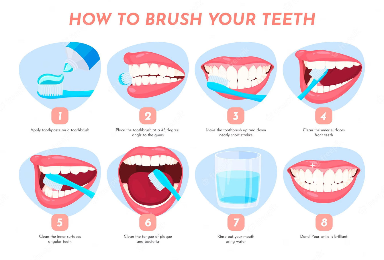 A Step-by-Step Guide on How to Use a Sonic Toothbrush – KIWIBIRD