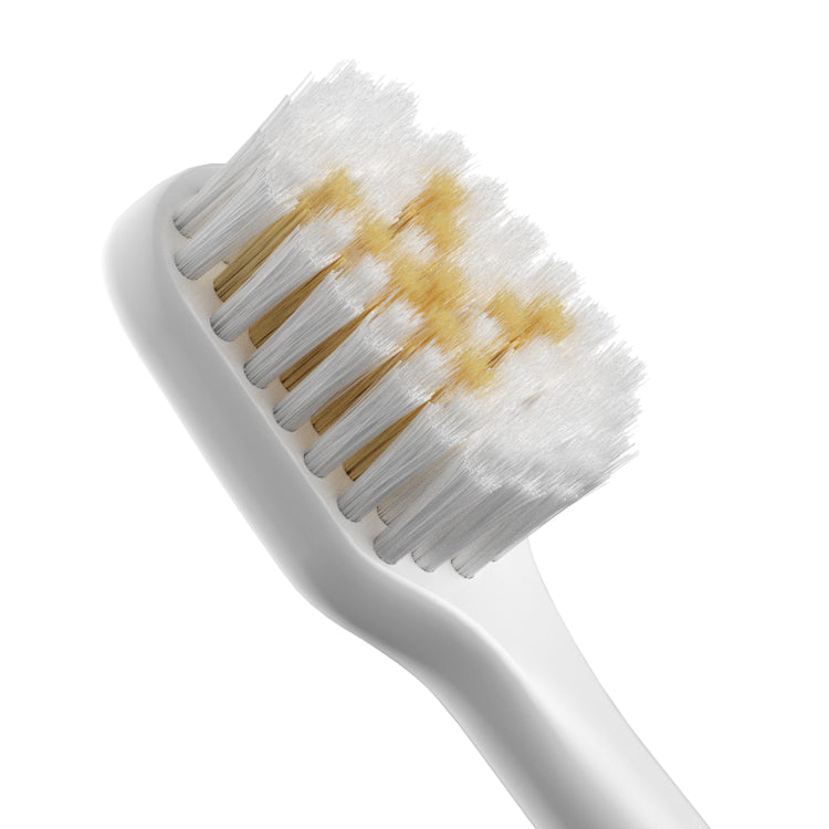 white electric toothbrush heads